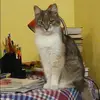 Отзыв от Лия Петухова